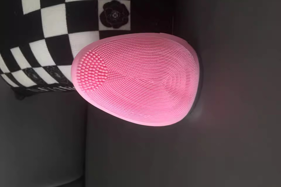 Electric Facial Cleansing Device
