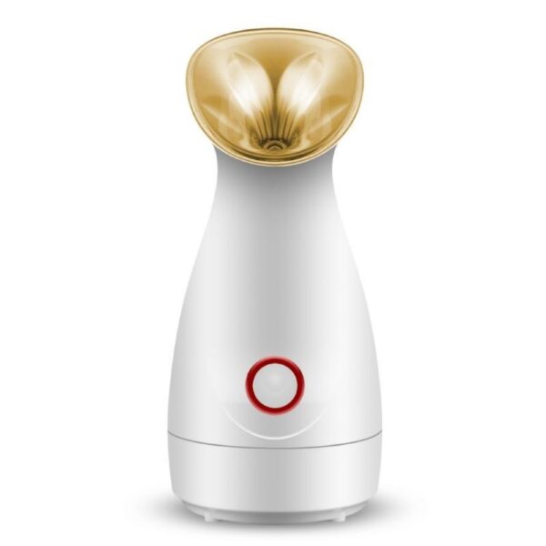Face Steam Machine