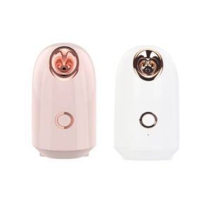 Facial Moisturizing Steamer