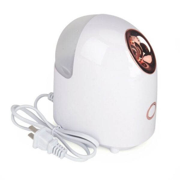 Facial Moisturizing Steamer