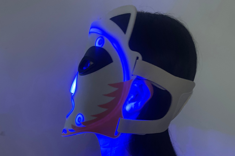 LED Light Skin Care Masks