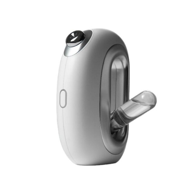 Nano Facial Steamer Mist Sprayer