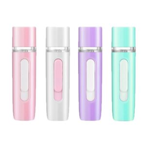 Portable Mist Steamer
