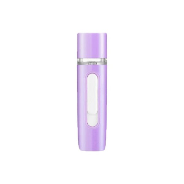 Portable Mist Steamer