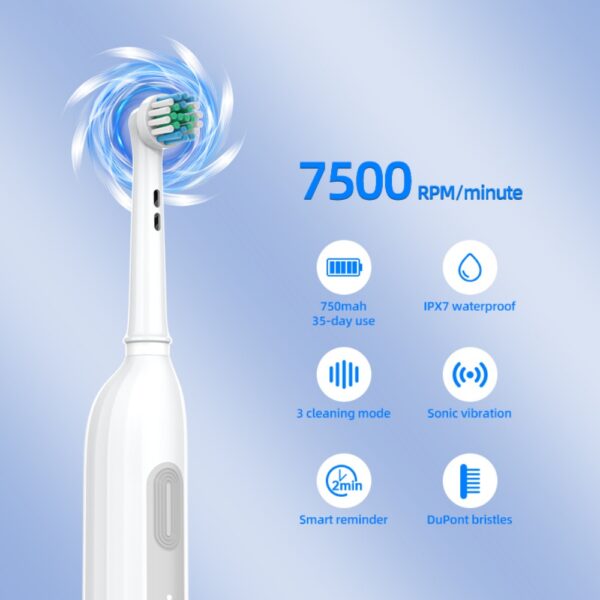 Sonic Electric Toothbrush