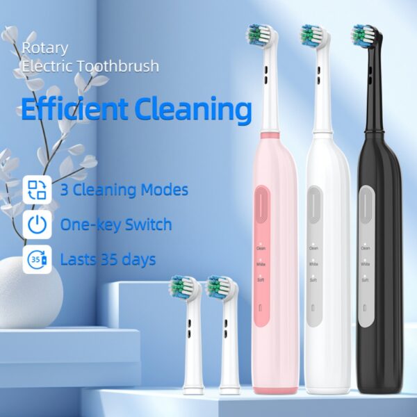 Sonic Electric Toothbrush
