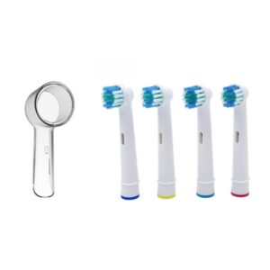 Toothbrush Head Protection