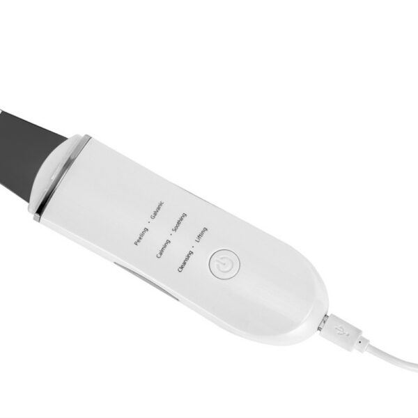 Ultrasonic Cleansing Instrument